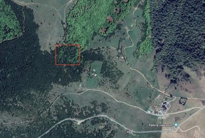 Teren Construcții extravilan de 11169 mp, în Păltiniș - 1