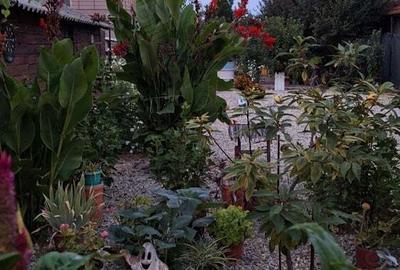 Casa Constan?a , Palazu Mare Casa Constan?a , Palazu Mare - 10