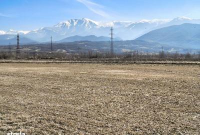 Teren de 2800 mp, în Turnu Roșu - 18