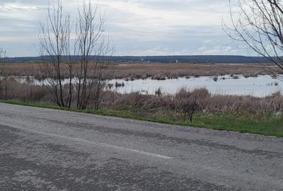 Teren intravilan 1270 mp.Dubla deschidere.Vis-a-vis de Balta Comana. Teren intravilan 1270 mp.Dubla deschidere.Vis-a-vis de Balta Comana. - 4