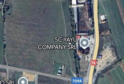 RECO Pensiune cu Spatiu Comercial in Pocola la 5km de Beius - 15