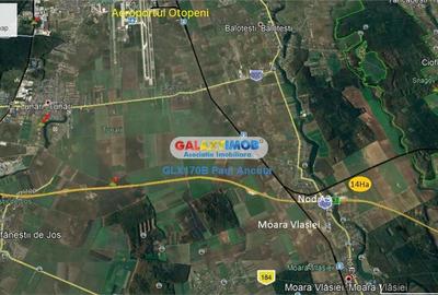 Teren Construcții intravilan de 140000 mp, în Moara Vlăsiei - 4