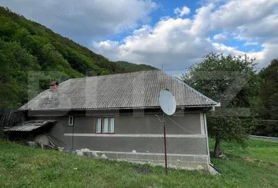 Casa 100 mp utili 4 camere 1,6 ha teren aproape de Trans Apuseana - 2