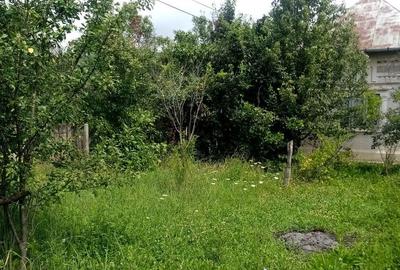 Casă cu 2 camere cu Teren 3198 Mp în Aninoasa - 5