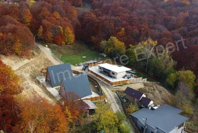 Casa de vanzare in Curtea de Arge?, priveli?te deosebita. - 20