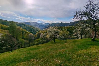 Casă cu 4 camere în Luncani - 2