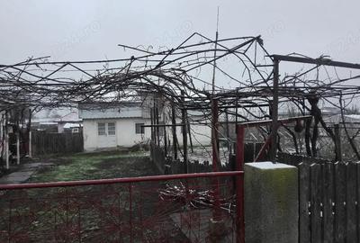 Casă cu Teren 1140 Mp în Străjescu - 5