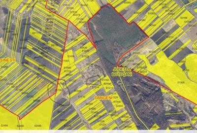 Teren de 46500 mp, în Dângeni - 2
