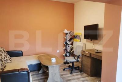 Apartament cu 2 camere semidecomandat în Tătărași - 4
