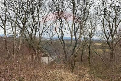 Teren în Central - 14