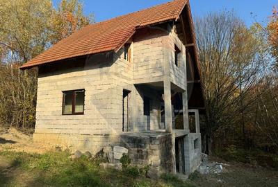 DE VANZARE CASA VACANTA - lac Mujdeni localitatea Orasul Nou - 3