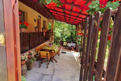 Casa de ?ara de vanzare - 1