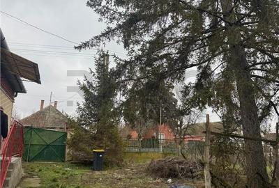 Casă cu 3 camere cu Teren 1900 Mp în Borș - 13