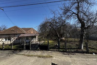 Casă cu 3 camere cu Teren 8000 Mp în Someș-Odorhei - 4