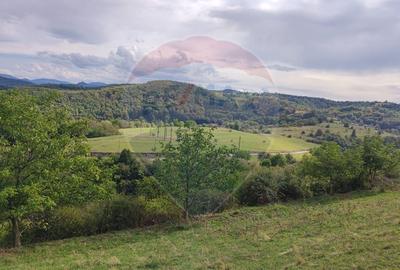 Teren Construcții intravilan de 1500 mp, în Damiș - 4