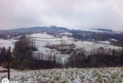 Teren de 8335 mp, în Săcuieu - 1