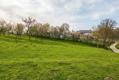 Teren de 4275 mp, în Ilva Mică - 5