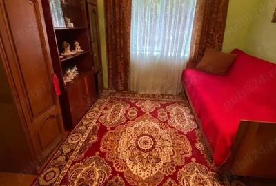 Casă cu 4 camere cu Teren 1656 Mp în Iecea Mică - 4