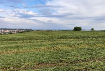 Spațiu comercial, în Central - 8