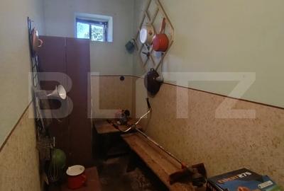Casa cu 3 camere si o bucatarie de vara si 1300 mp teren si anexe - 15