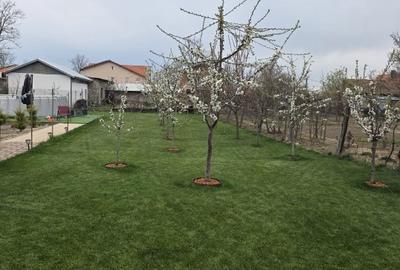 Casă individuală cu 5 camere cu Teren 1171 Mp în Freidorf - 8