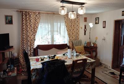 Casă cu 3 camere cu Teren 13000 Mp în Stănița - 4