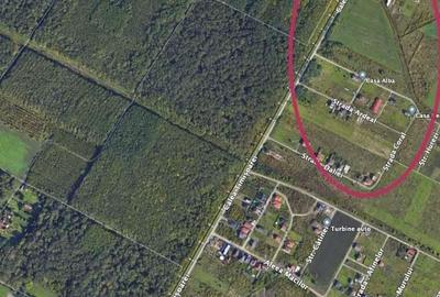 Promovam teren locuin?e ?i func?iuni complementare, SAD la parter ?i doua apartamente, 477 mp - 3