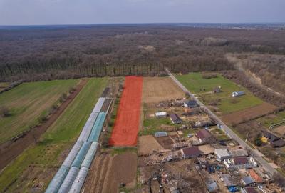 Teren Construcții intravilan de 3876 mp, în Balta Neagră - 3