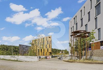 Apartament 3 Camere - Loft Green Apartments, Mogosoaia - 21