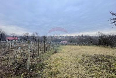 Casă cu 4 camere cu Teren 5088 Mp în Neicu - 9