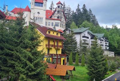 Tur LIVE! Refugiu in ambientul special al statiunii Poiana Brasov - 14