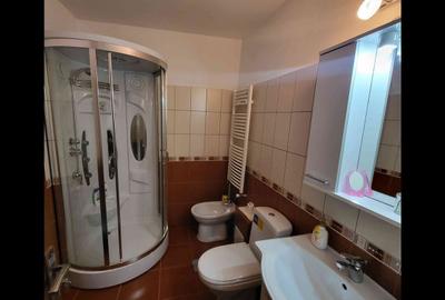 Apartament cu 3 camere decomandat în Bistrița Lac - 10