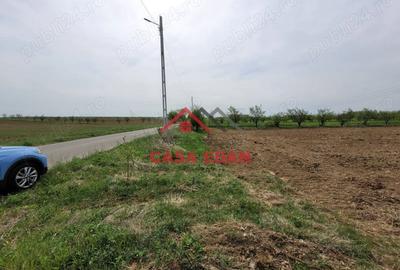 Teren de 2400 mp, în Câmpina - 6