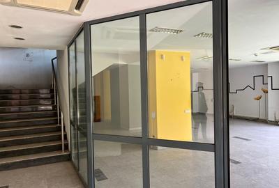 Spatii Birouri de Inchiriat Vad | Mezanin 320mp | Parc IOR - 3