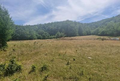 Casă cu Teren 1800 Mp în Anini - 2