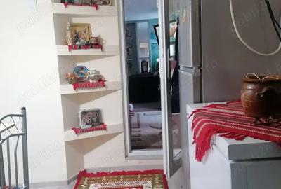 Casa de vanzare JUD Tulcea Comuna Rachelu Casa de vanzare JUD Tulcea Comuna Rachelu - 7