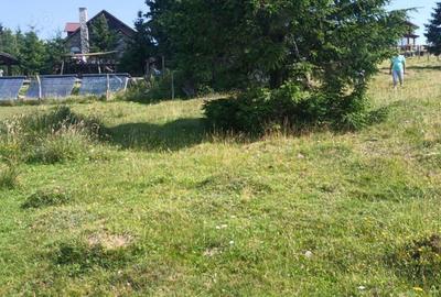 Teren de 8640 mp, în Beliș - 1