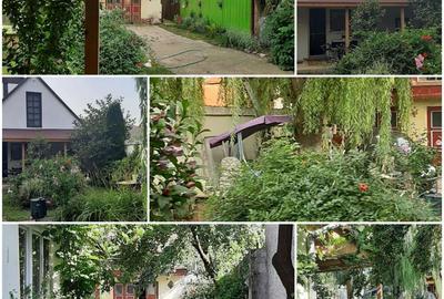 Vand casa in Rupea jud.Brasov. - 3