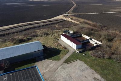 Gaminves Hală Industrială de vânzare  în Madaras la 30 km de Oradea,Bihor, V4077 - 2