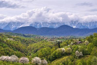 Teren Construcții intravilan de 6966 mp, în Bran - 2