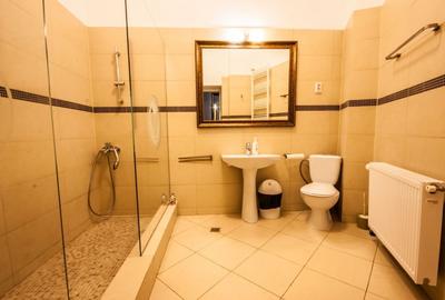 Apartament tip vila 295 mp utili, regim S+P+M, ideal birouri, clinica, avocatura - 11