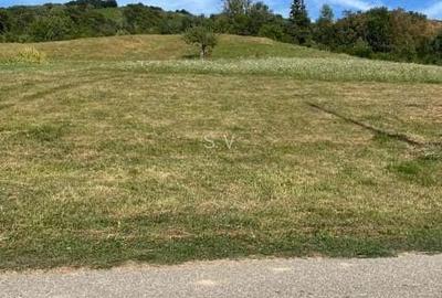 Teren de 879 mp, în Armeniș