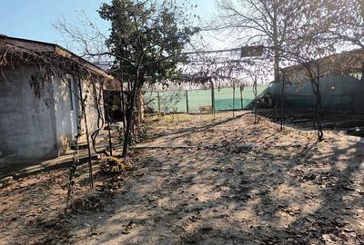 Casă cu 2 camere cu Teren 1782 Mp în Bulbucata - 6