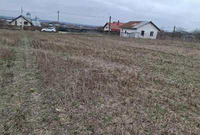 Teren de 2200 mp, în Gruiu - 5