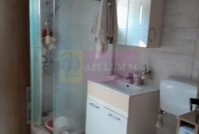 Casă individuală cu 5 camere cu Canalizare în Tineretului - 44