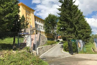 Teren vanzare Sandominic (Balan), Harghita - 1