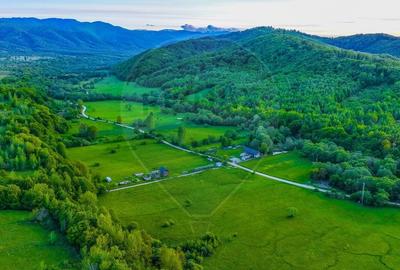 Teren agricol extravilan de 3352 mp, în Șinca Nouă - 12
