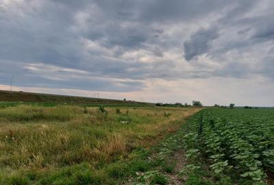 Teren agricol extravilan de 8877 mp, în Exterior Nord - 1