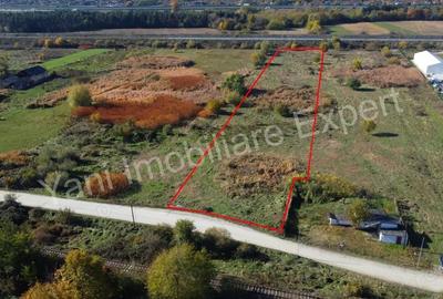 Teren de 10068 mp, în Băiculești - 3