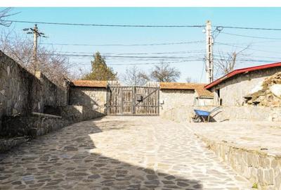 Ocazie unica de investitie, vila de lux in Balotesti - 2